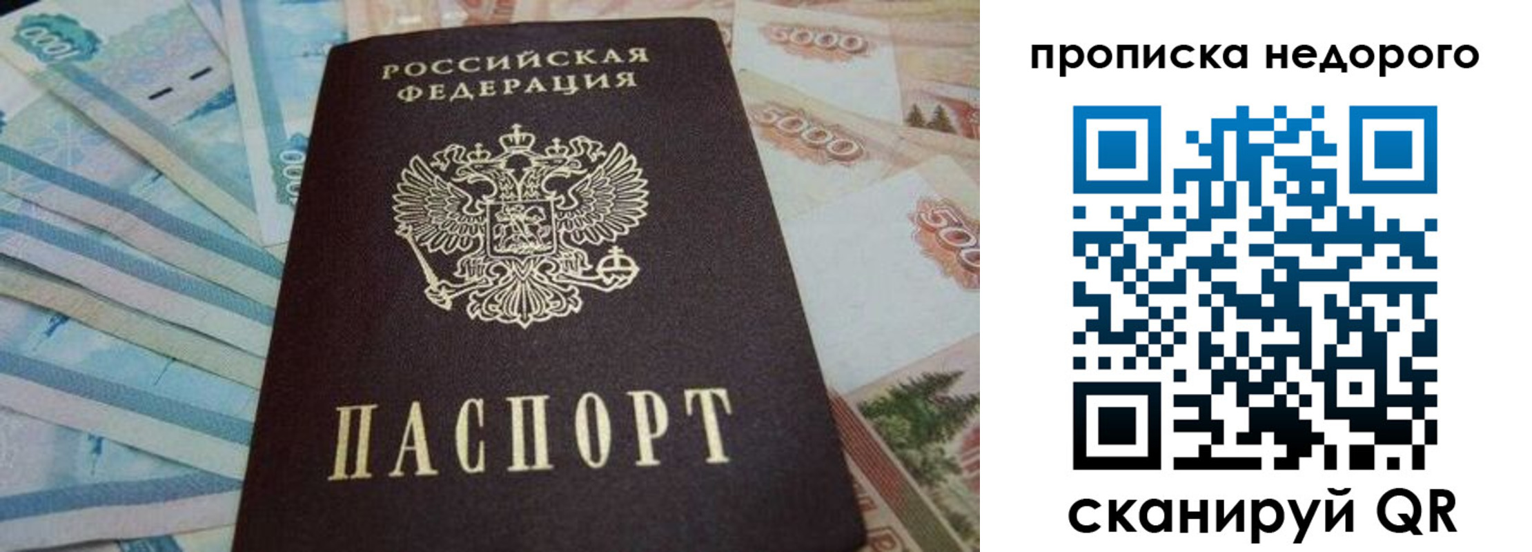 временная регистрация поиск в Боготоле